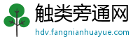 触类旁通网